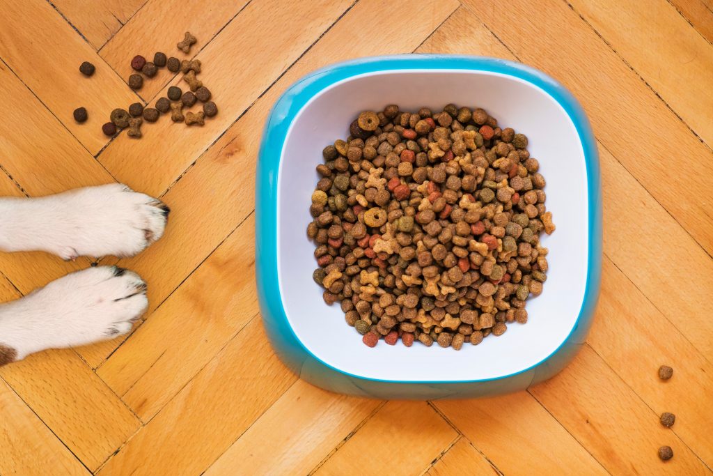 Mixed dog food